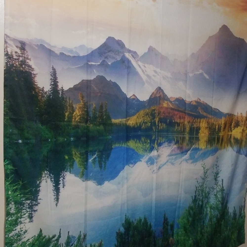 Shower curtain